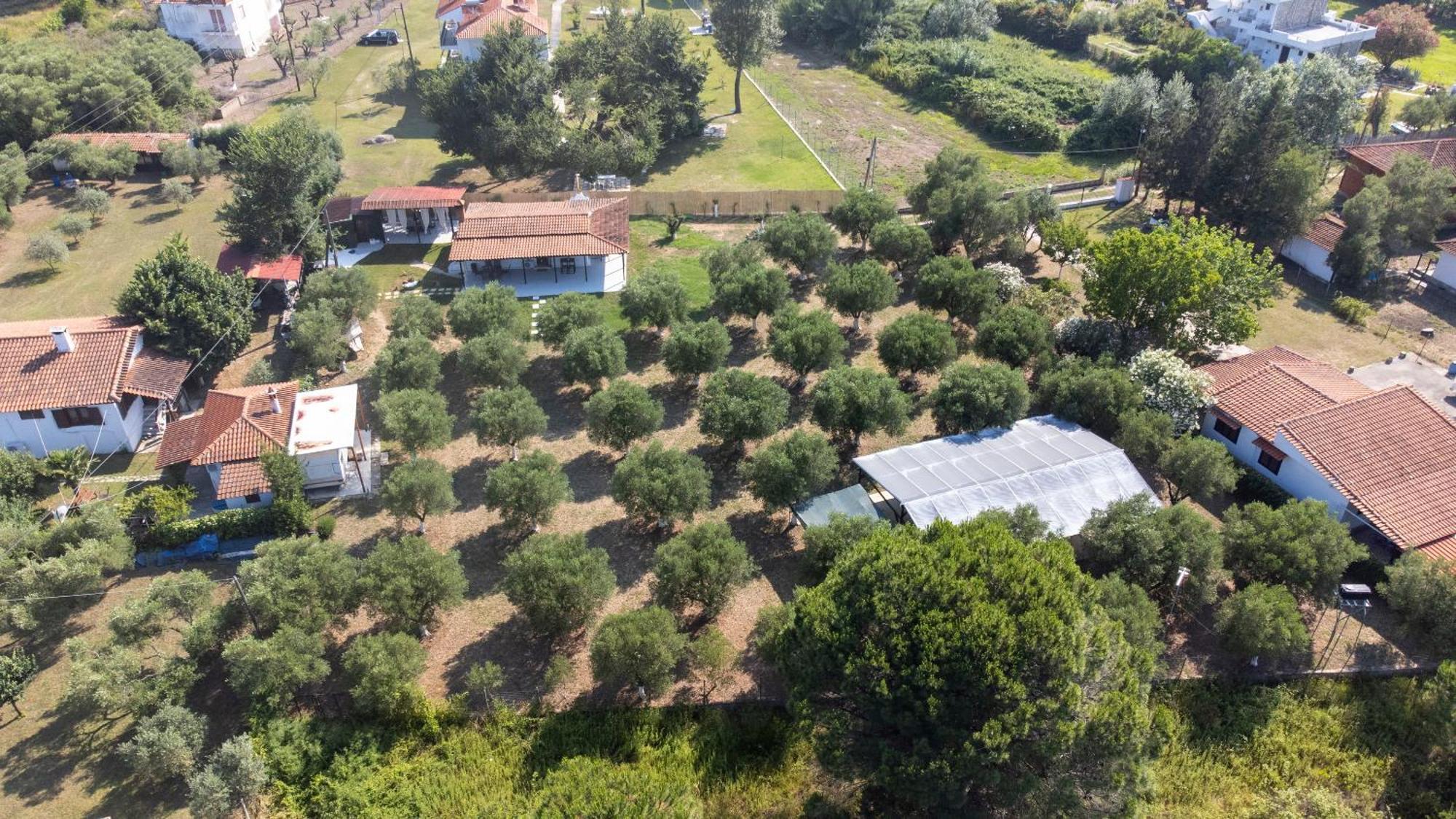 Casa Alelia Lagonisi Ormos Panagias Exterior foto
